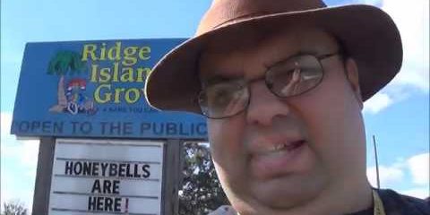 Ridge Island Groves in Haines City Florida | Boracina Cash Home Buyer