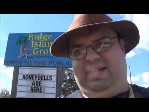 Ridge Island Groves in Haines City Florida | Boracina Cash Home Buyer