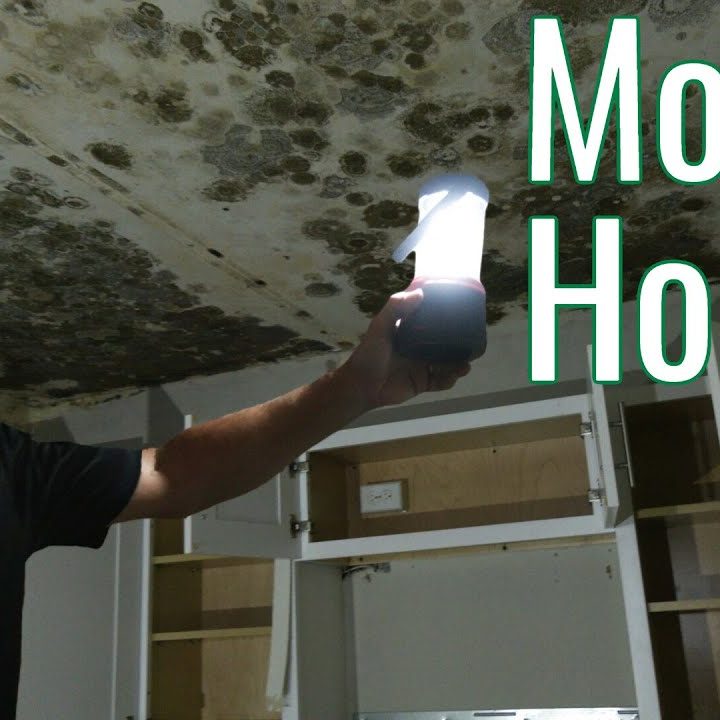 Selling a House with Mold Damage | Boracina Cash Home Buyer