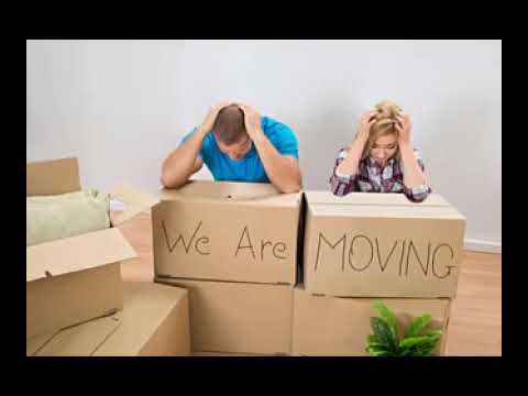 TampaFloridaRealEstateBlog.com is Now Part of Boracina.com